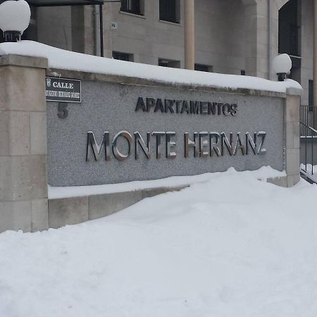 Apartamentos Monte Hernanz Riaza Exterior foto